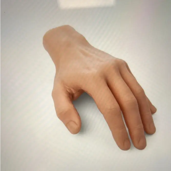 A Pound of Flesh Silicone Synthetic Hand with Wrist —